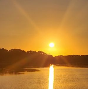 Meet your Posher, Bing